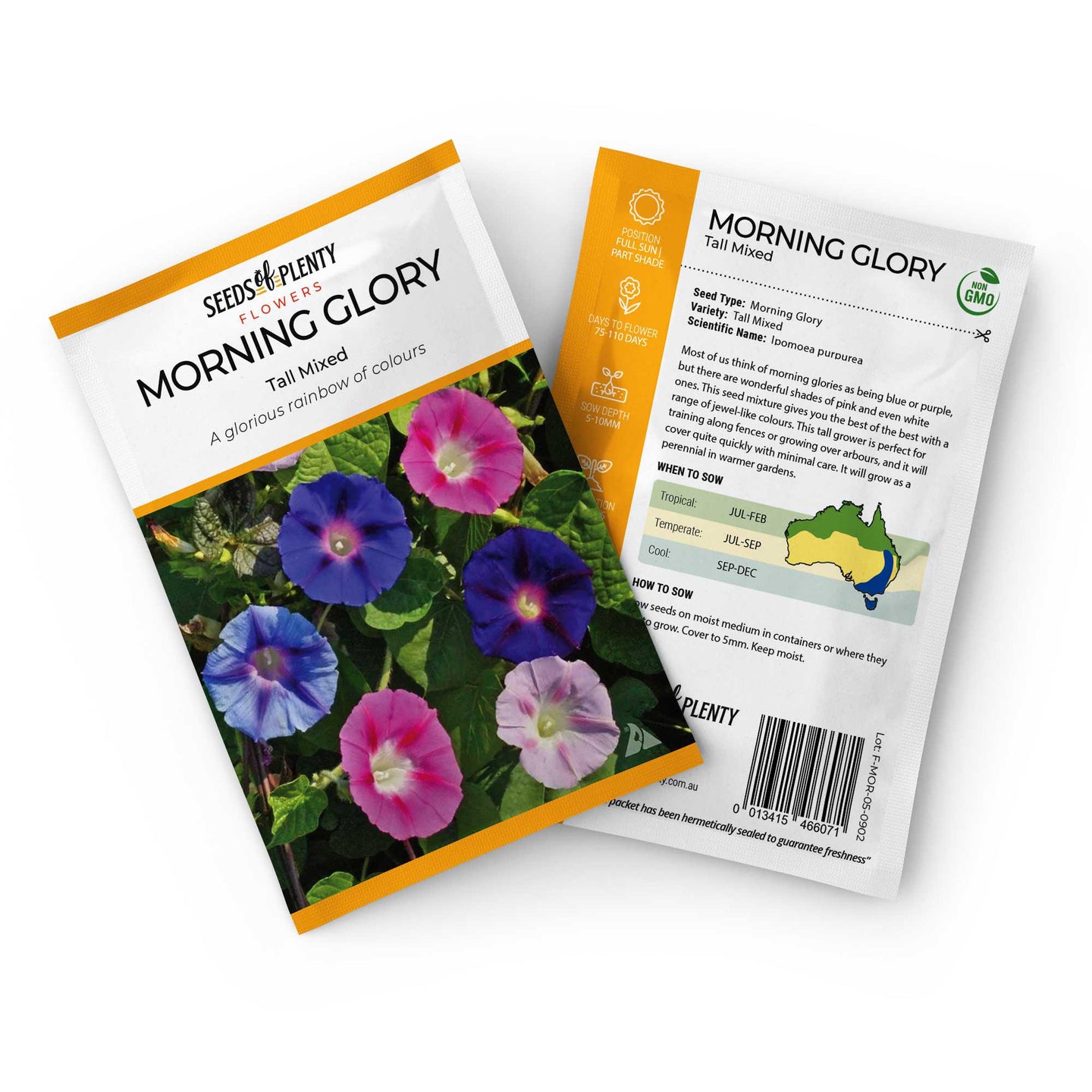 MORNING GLORY - Tall Mixed Seed Packet - Ipomoea purpurea