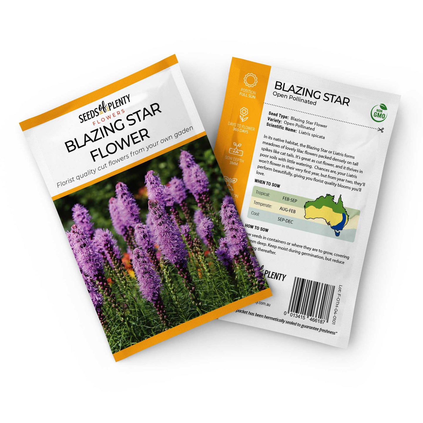 BLAZING STAR FLOWER - Seed Packet - Liatris spicata