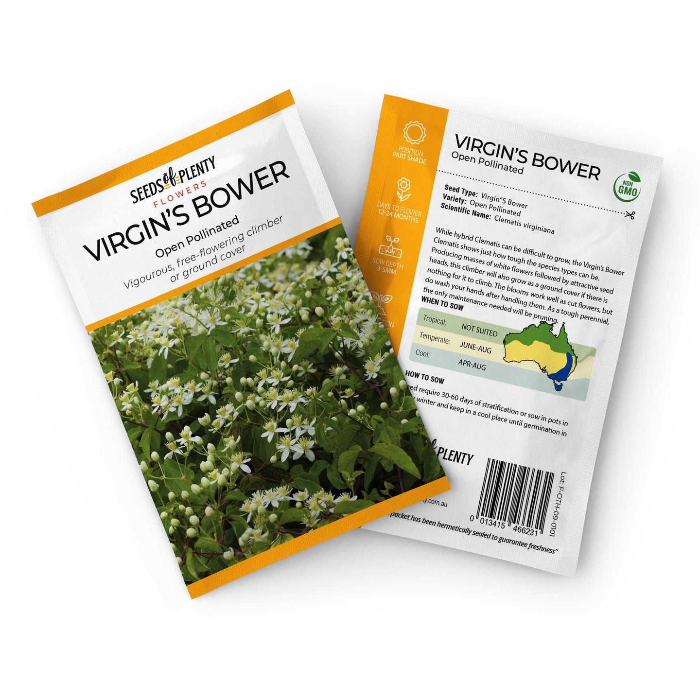 VIRGIN"S BOWER - Seed Packet - Clematis virginiana 