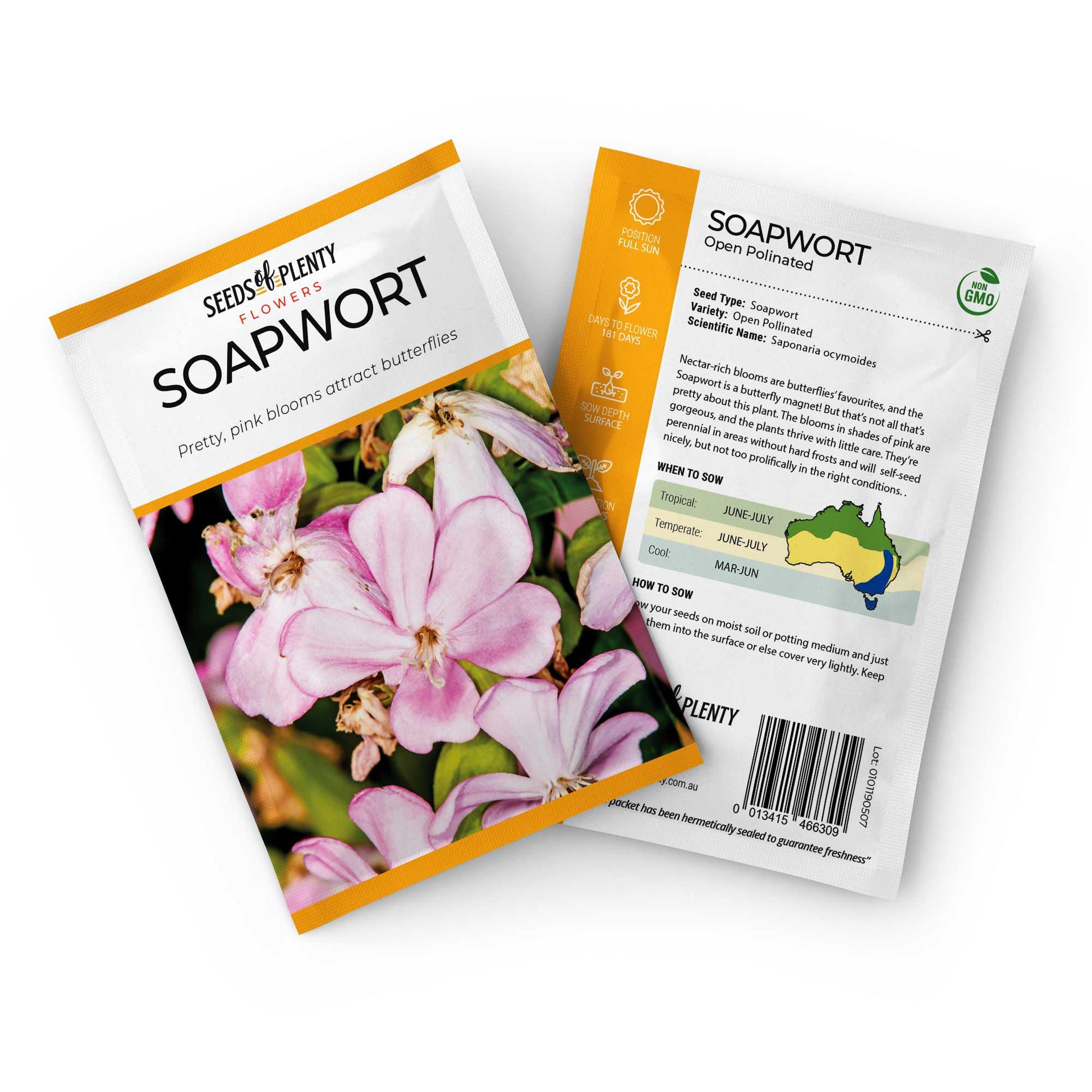 planting soapwort seeds SOAPWORT