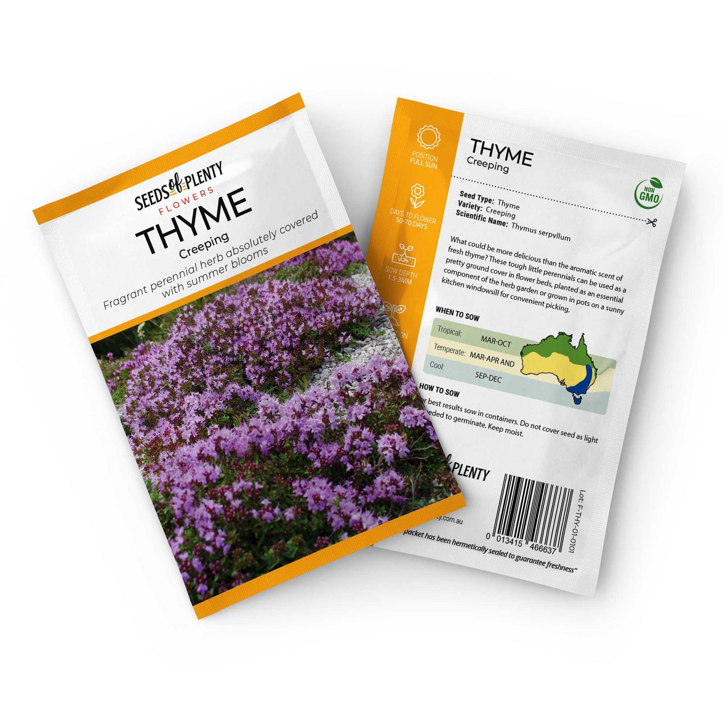 THYME - Creeping Seed Packet - Thymus serpyllum