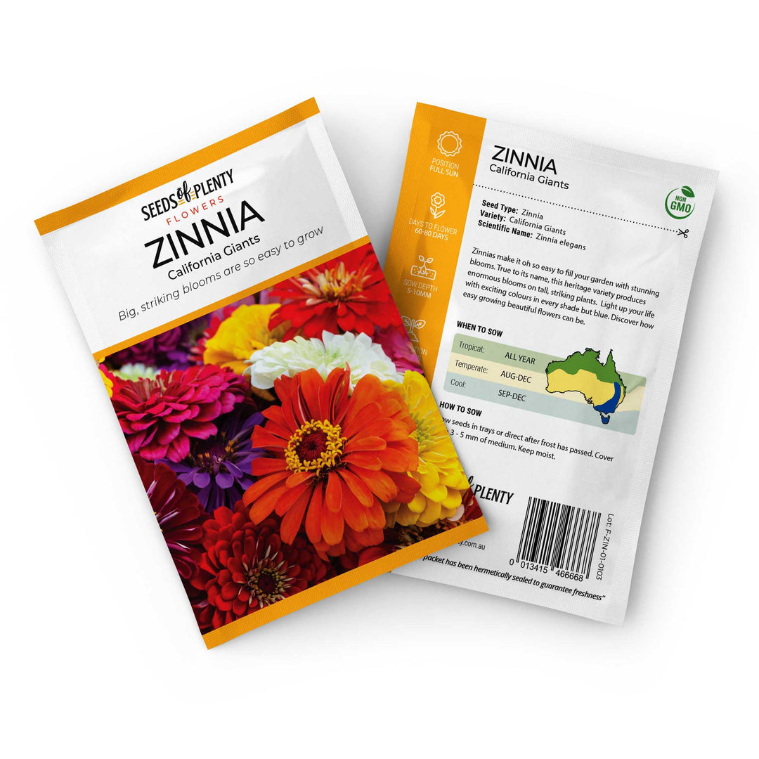 zinnia flower seeds online ZINNIA - California Giants