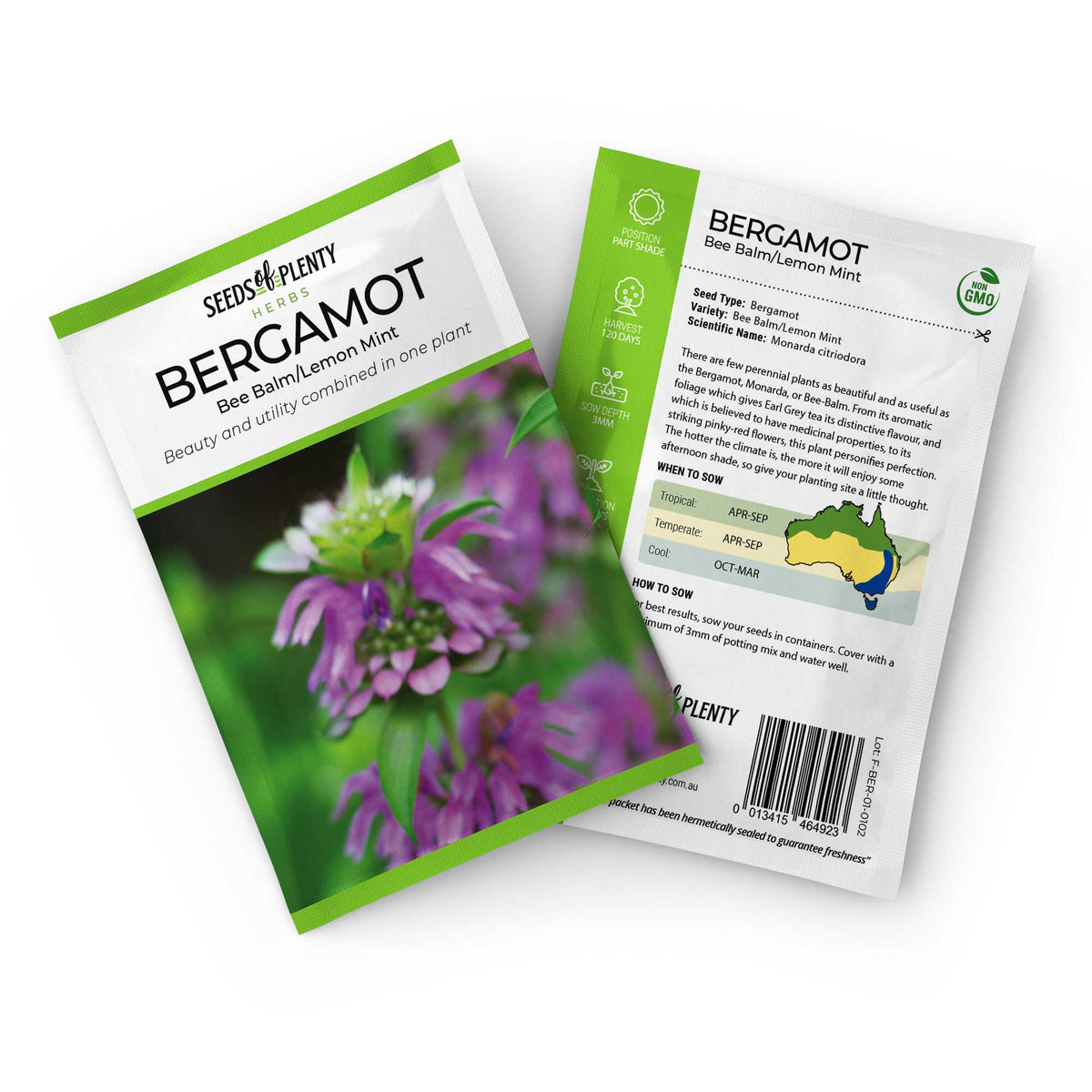 How To Grow Monarda citriodora How To Grow Monarda citriodora