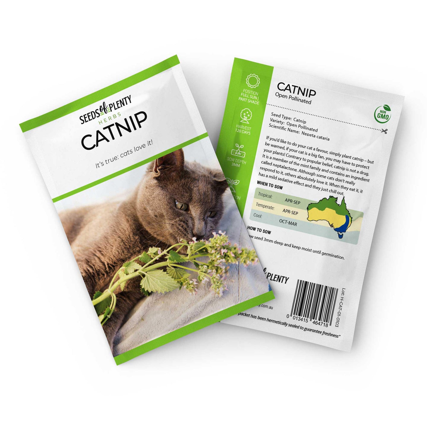 CATNIP - Seed Packet - Nepeta cataria