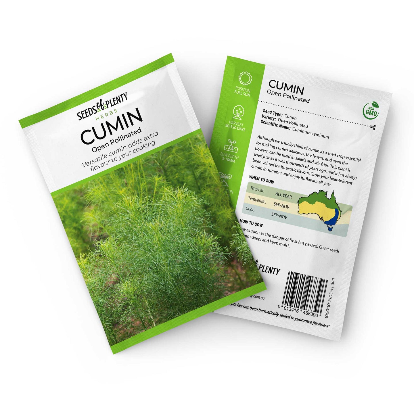 CUMIN - Seed Packet - Cuminum cyminum