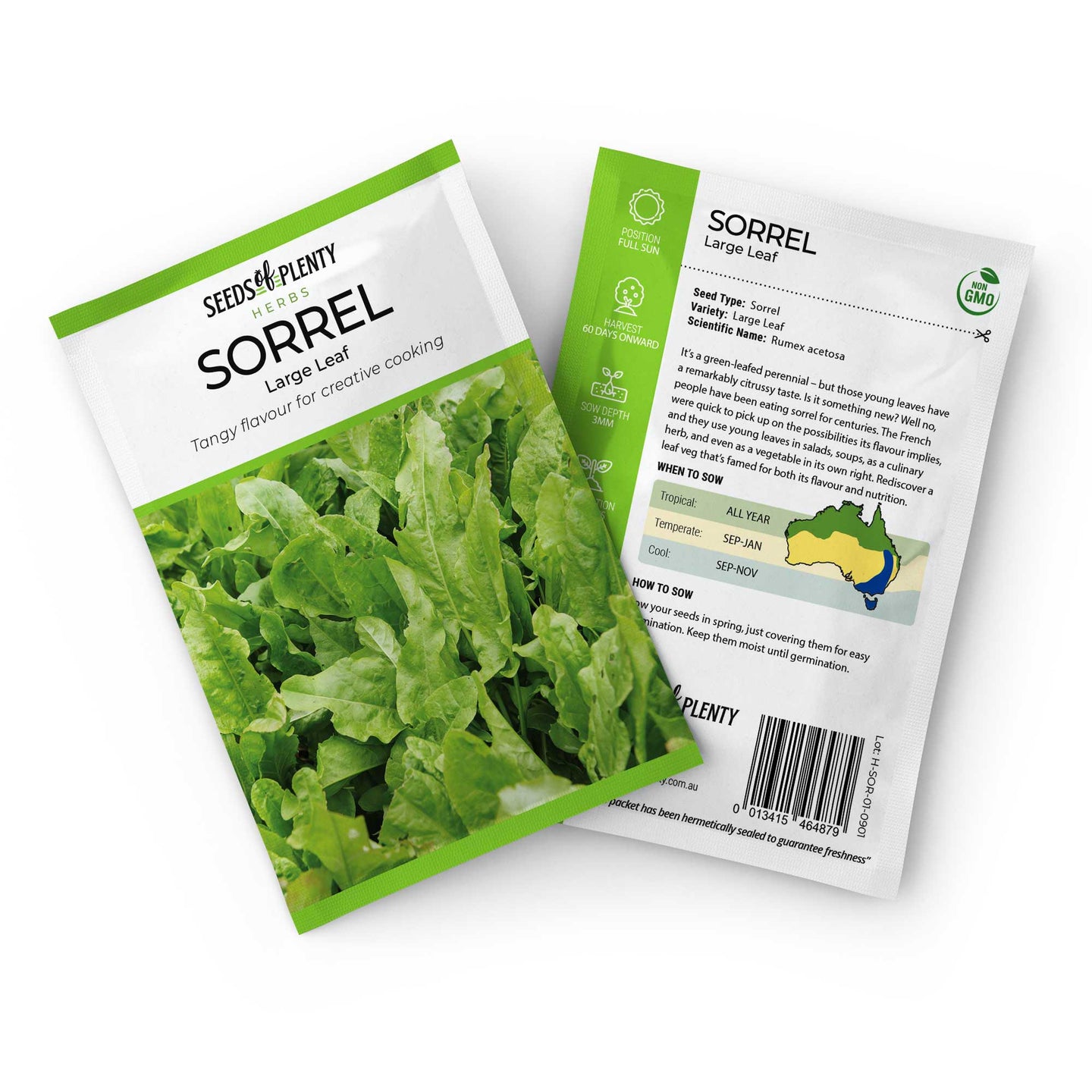 SORREL - Large Leaf Seed Packet - Rumex acetosa