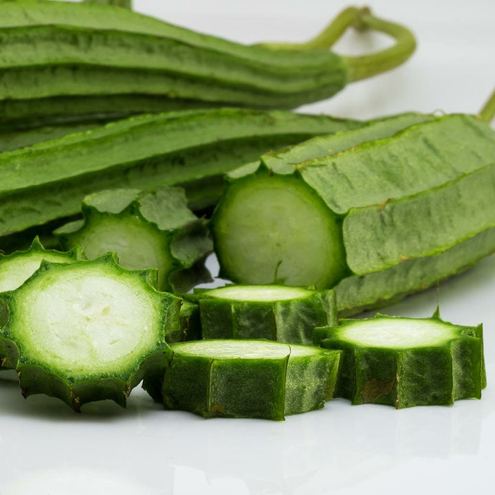 MELON - Luffa  - Luffa aegyptiaca