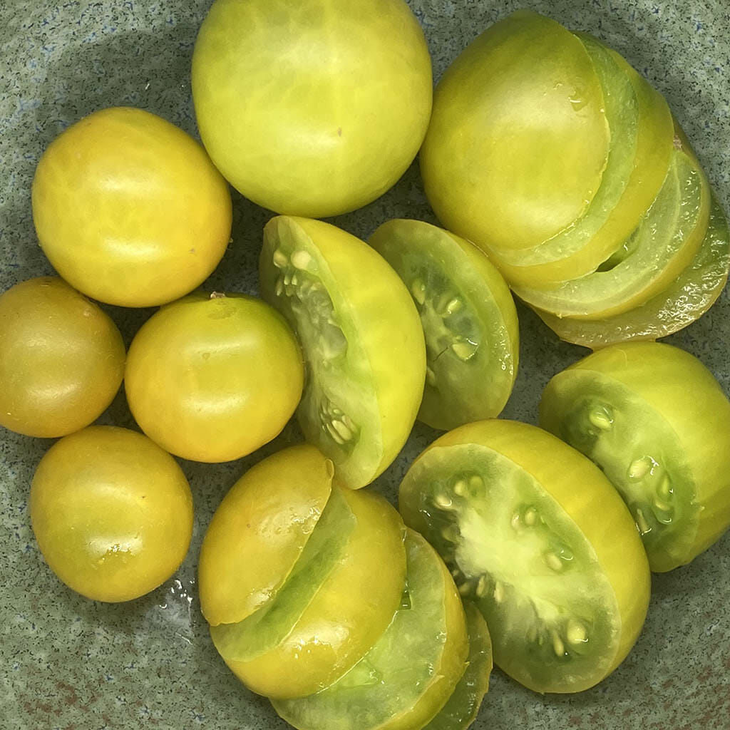 MICRO TOMATO - Fat Frog  - Lycopersicon esculentum