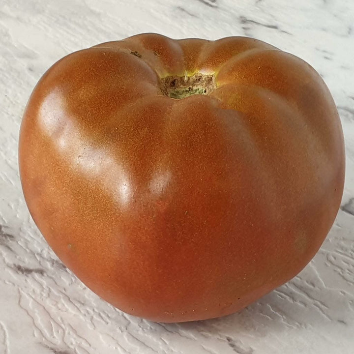 DWARF TOMATO - Maralinga  - Lycopersicon esculentum