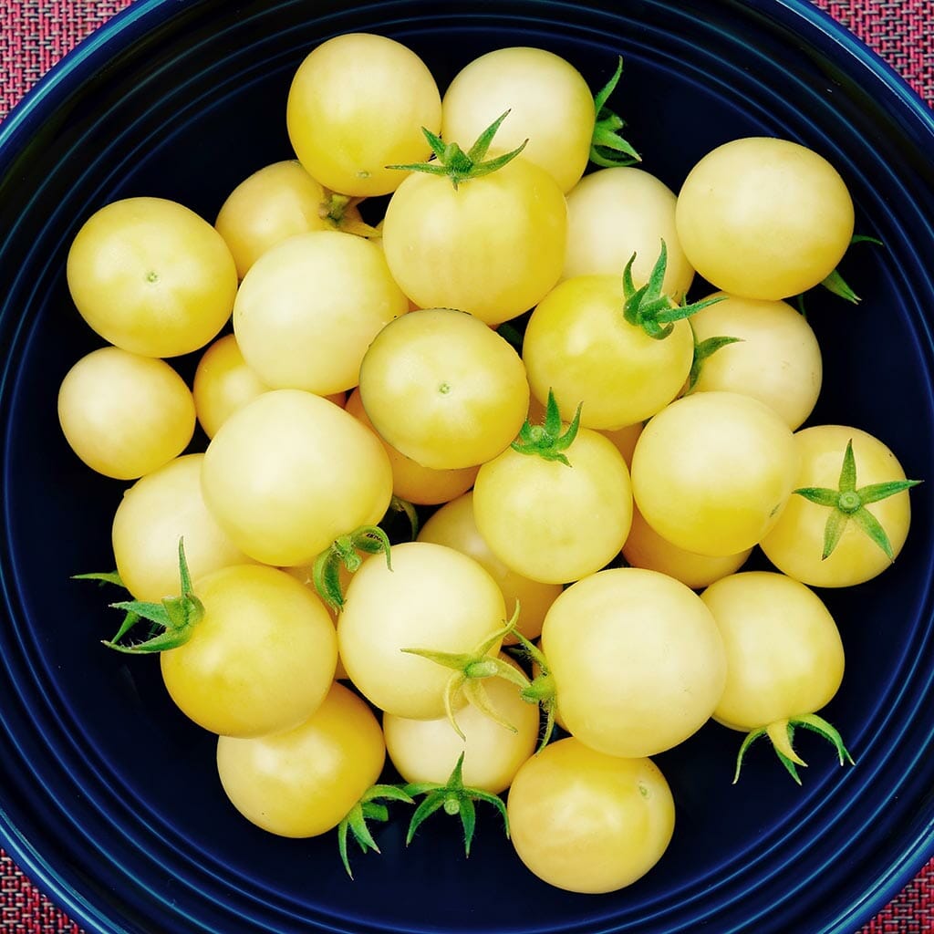 TOMATO - Napa Chardonay  - Lycopersicon esculentum