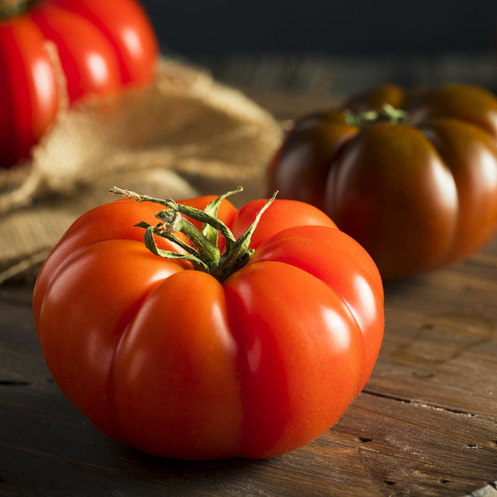 TOMATO - Red Russian  - Lycopersicon esculentum