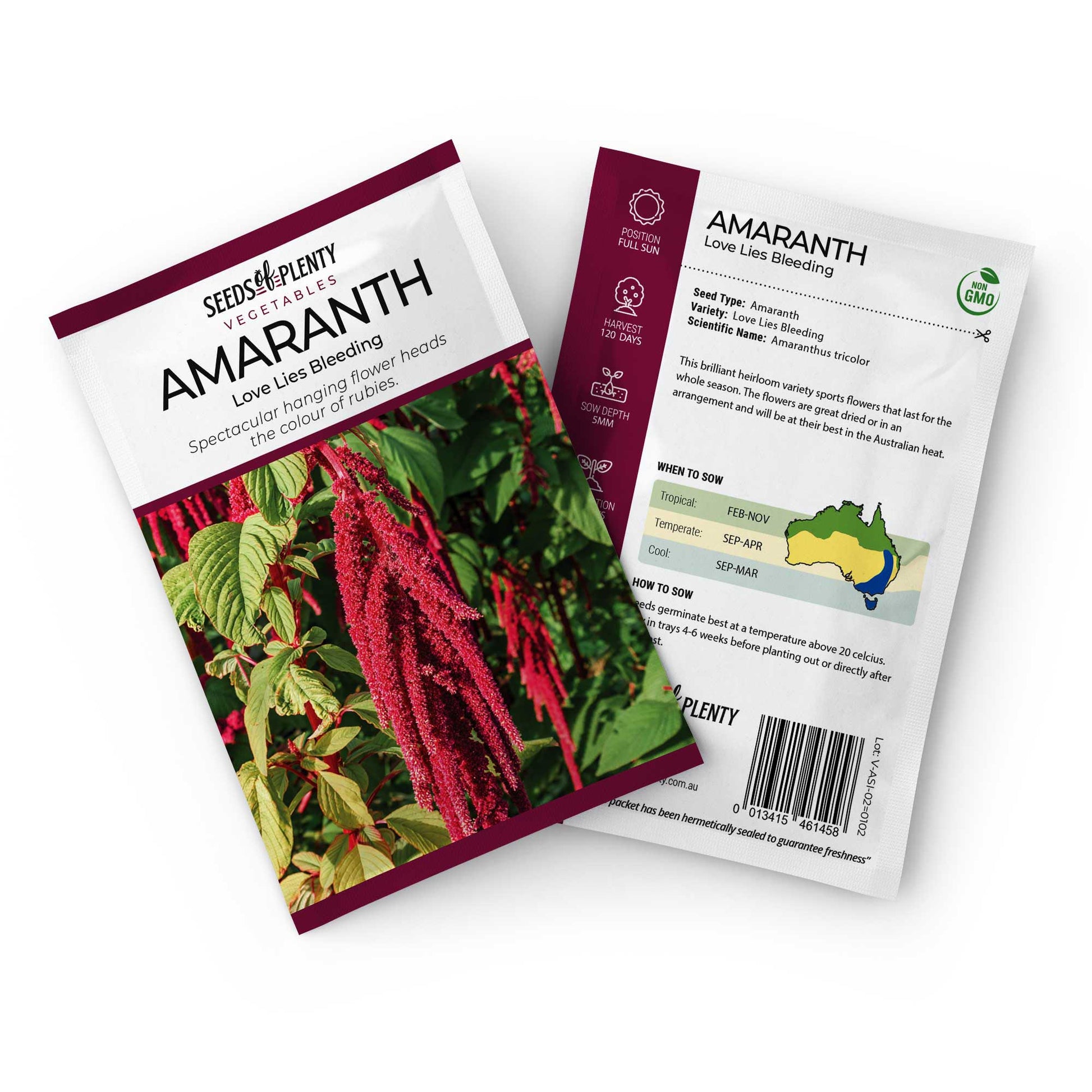 AMARANTH - Love Lies Bleeding Seed Packet - Amaranthus tricolor