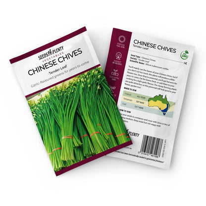 CHINESE CHIVES - Tender Leaf Seed Packet - Allium tuberosum rottler