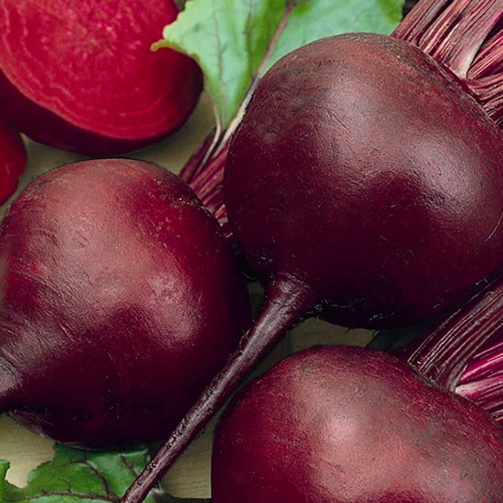 BEETROOT - Detroit Dark Red | Buy Online at Seeds Of Plenty â Seeds of Plenty
