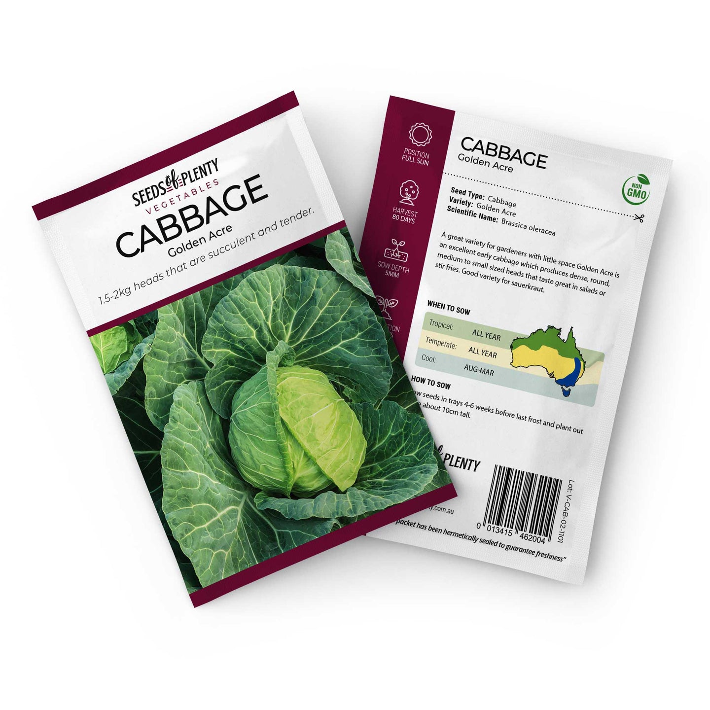 CABBAGE - Golden Acre Seed Packet - Brassica oleracea