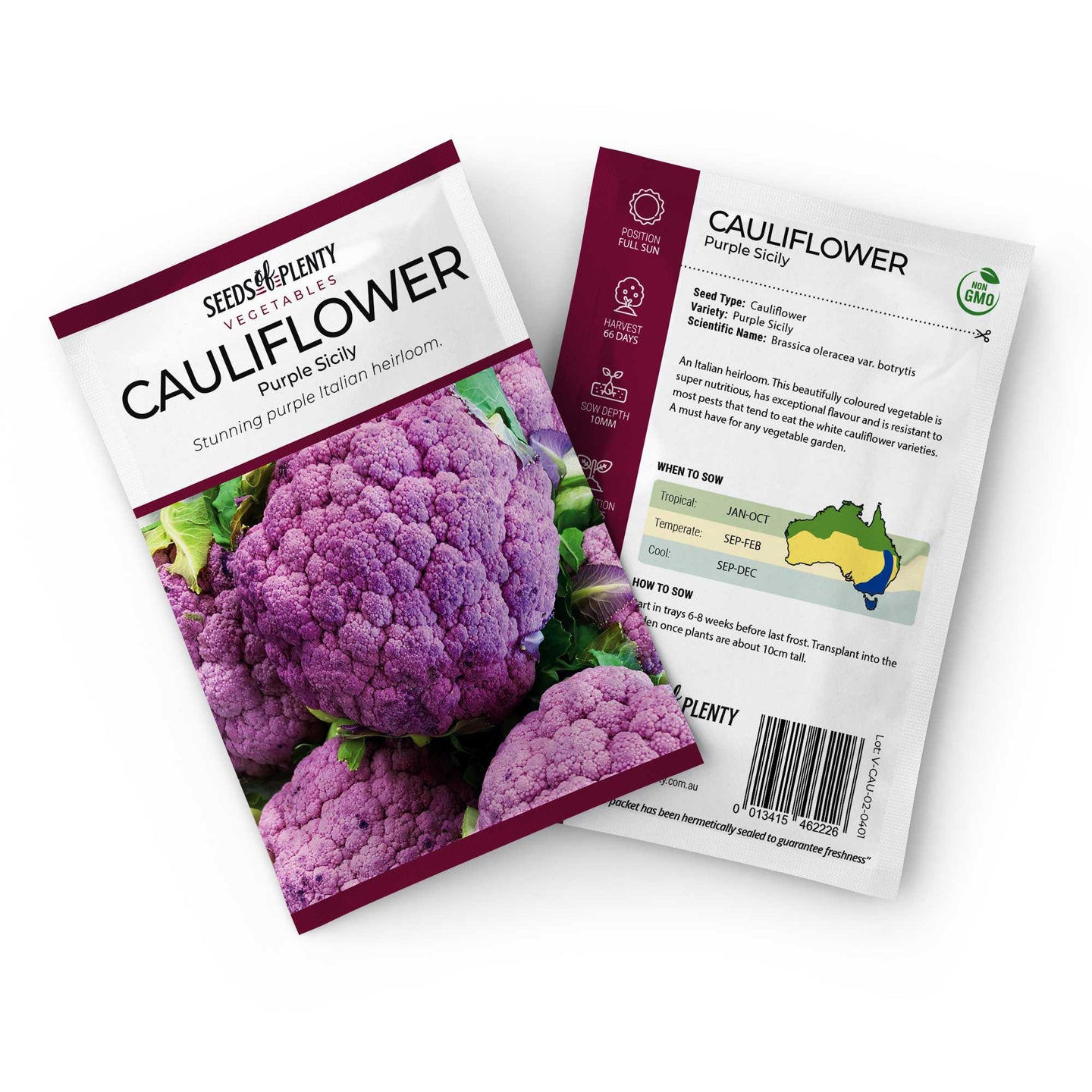 CAULIFLOWER - Purple Sicily Seed Packet - Brassica oleracea var. botrytis