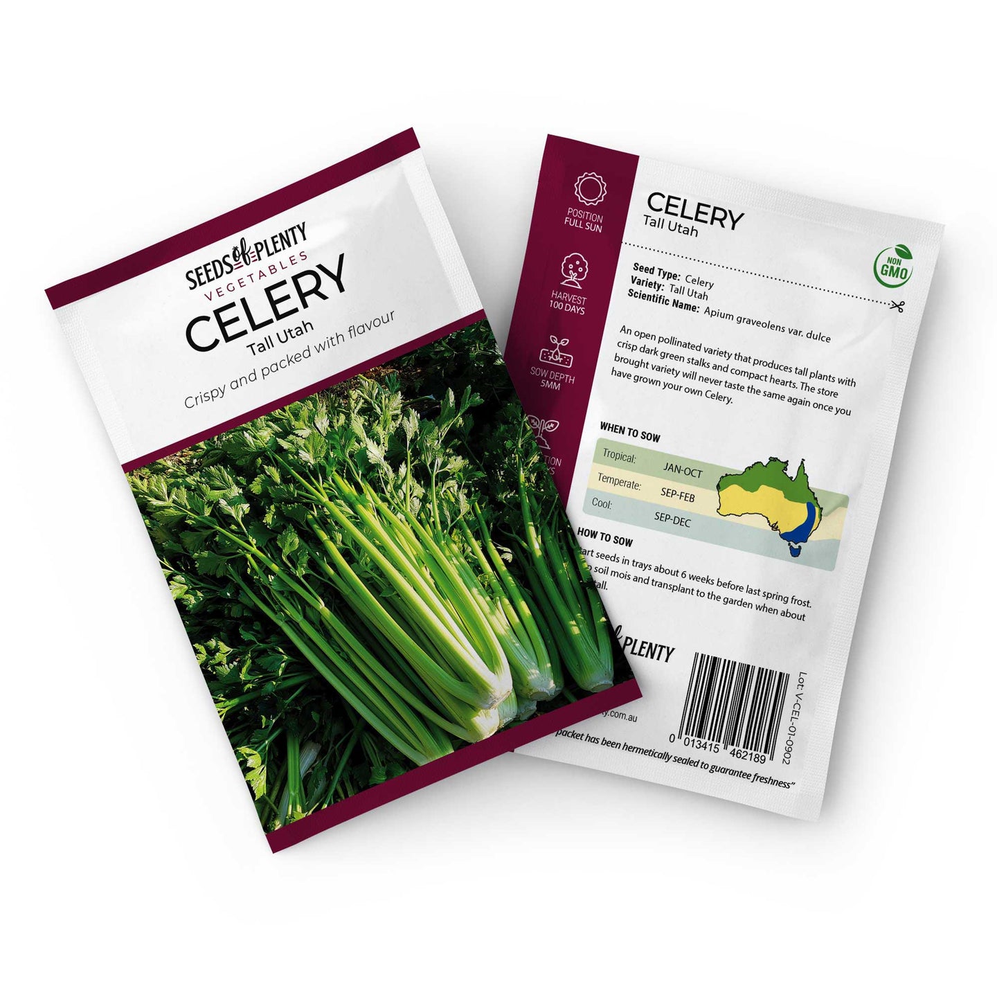 CELERY - Tall Utah Seed Packet - Apium graveolens var. dulce