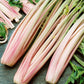 Celery - Peppermint Stick