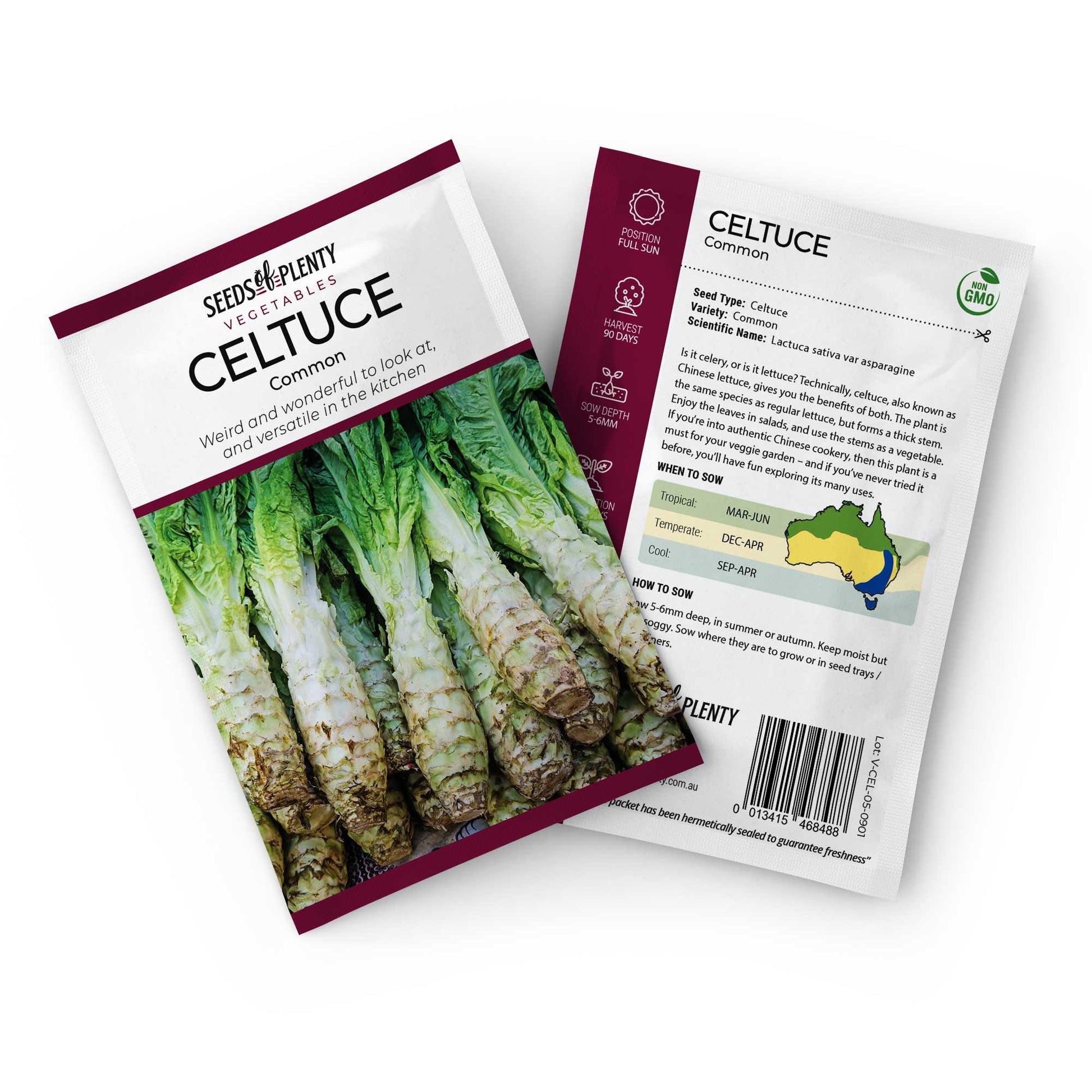 CELTUCE - Common | Buy Online at Seeds Of Plenty – Seeds of Plenty