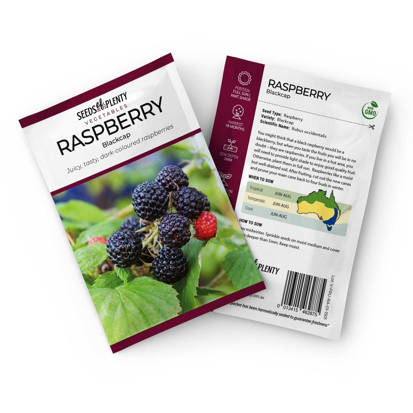 RASPBERRY - Blackcap Seed Packet - Rubus occidentalis