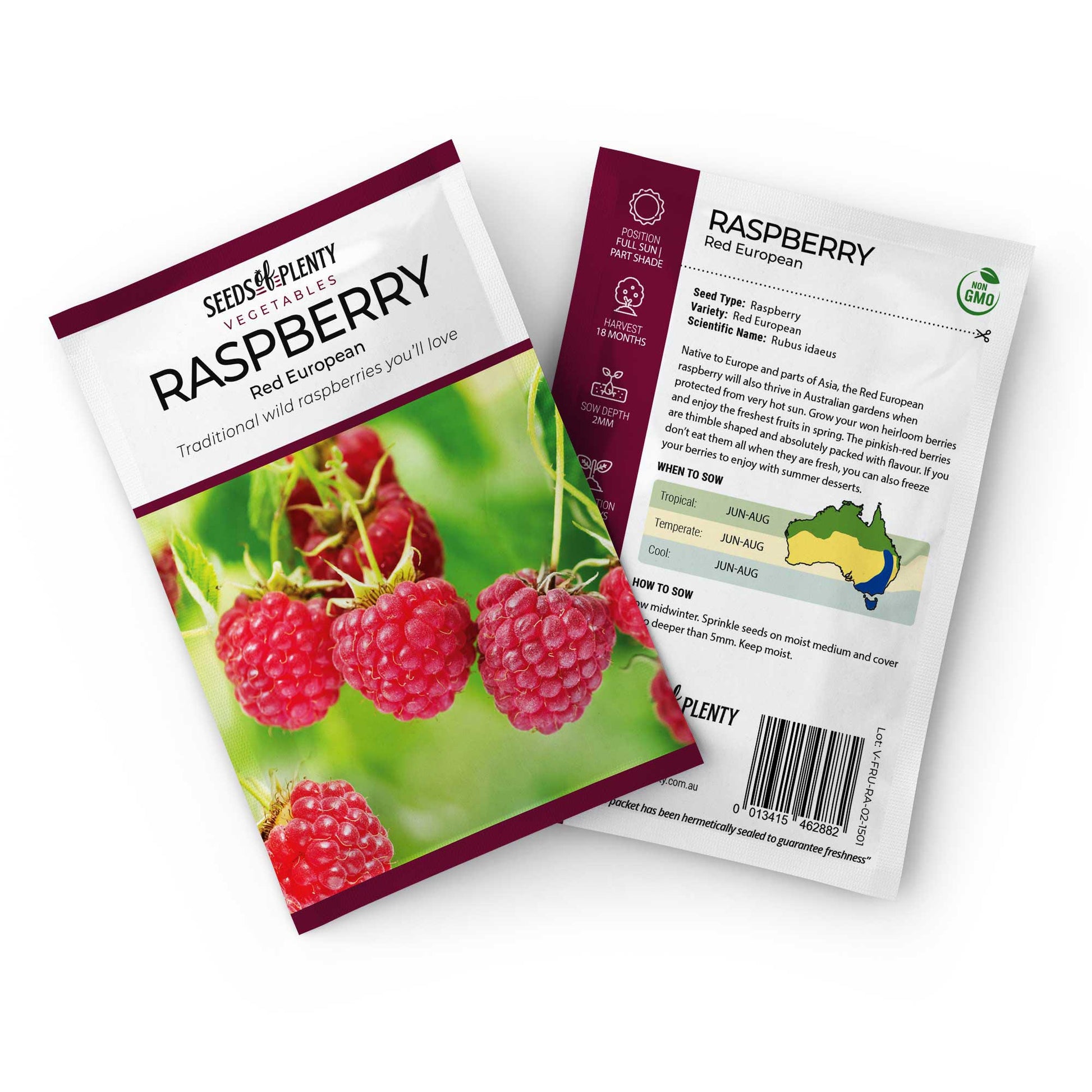 RASPBERRY - Red European | Buy Online at Seeds Of Plenty – Seeds of Plenty