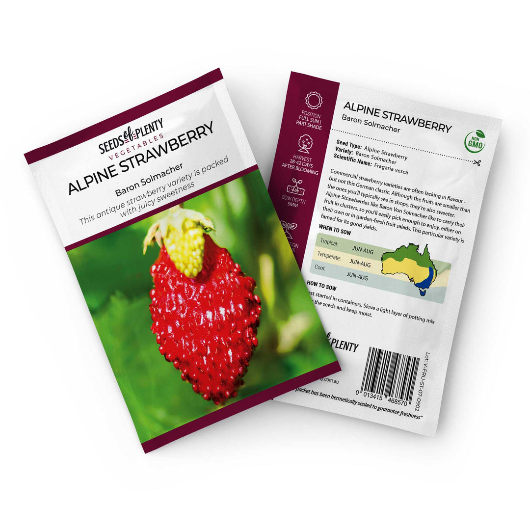 ALPINE STRAWBERRY - Baron Solmacher