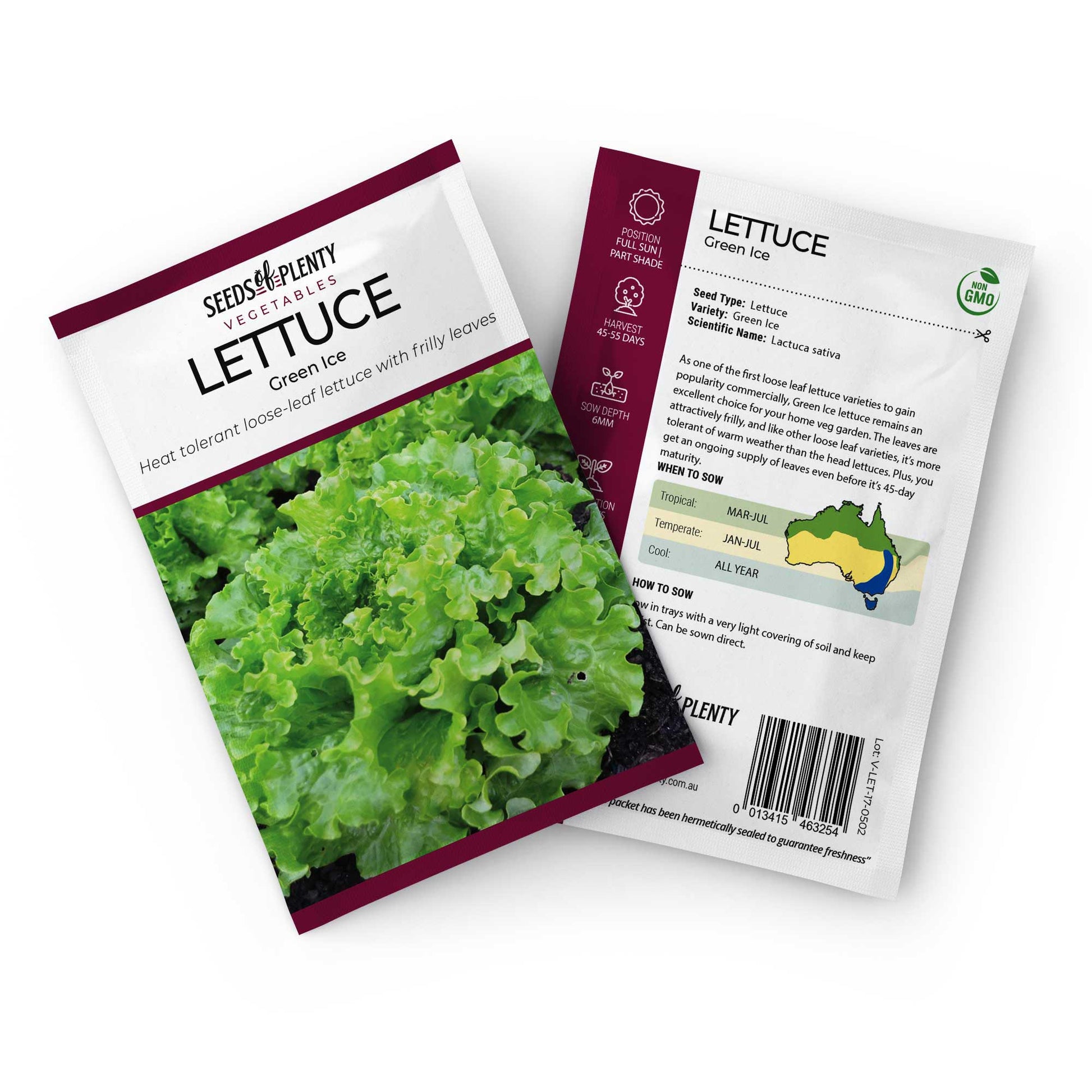 LETTUCE - Green Ice Seed Packet - Lactuca sativa