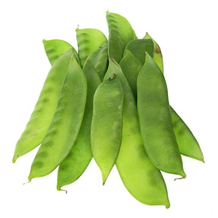 SNOWPEA - Oregon  - Pisum sativum