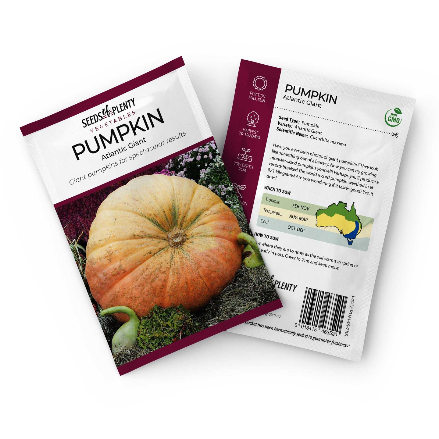 PUMPKIN - Atlantic Giant Seed Packet - Cucurbita maxima