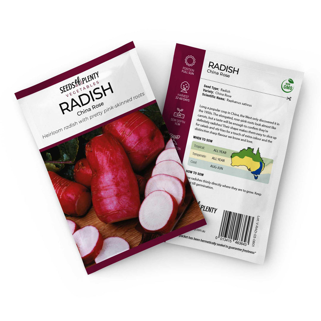 rose seeds buy online RADISH - China Rose