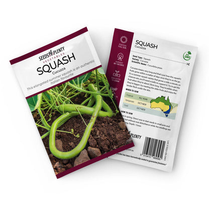 SQUASH - Cucuzza Seed Packet - Lagenaria siceraria