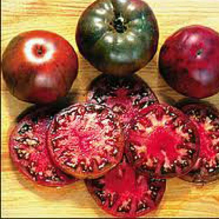 TOMATO - Black Russian  - Lycopersicon esculentum