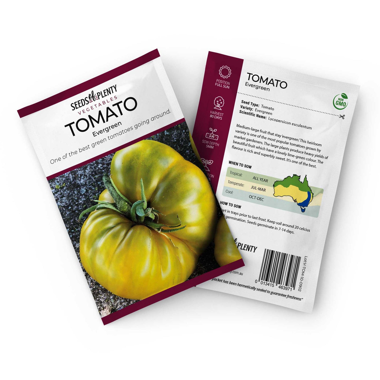 TOMATO - Evergreen Seed Packet - Lycopersicon esculentum