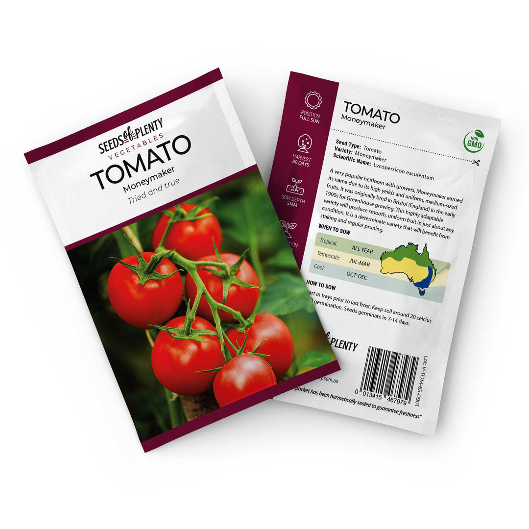 Moneymaker Tomato Seeds - 100+ Indeterminate Heirloom Seeds For Sauce, Canning & Fresh Eating