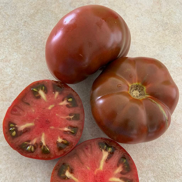 DWARF TOMATO - Maralinga  - Lycopersicon esculentum